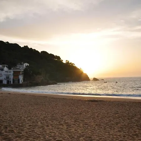 Apartamento Duplex De Cara El Mar 210 M2